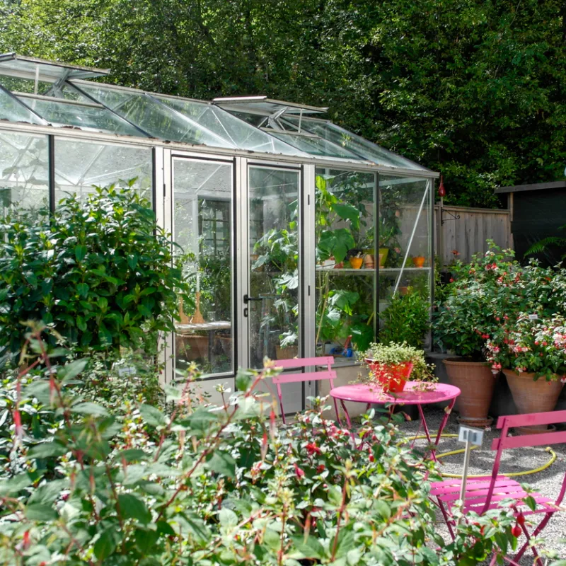 Greenhouse