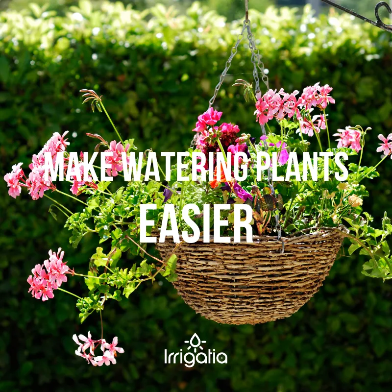 Watering your plants made easier