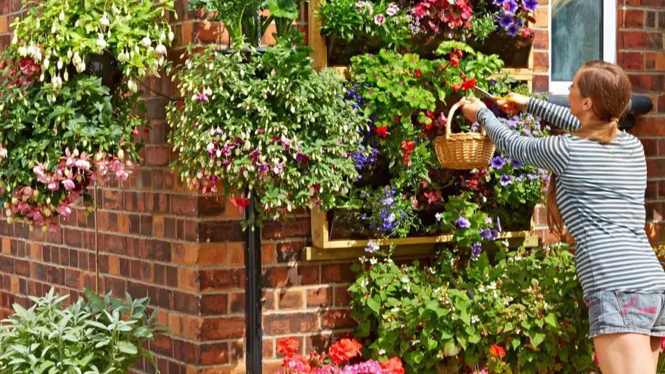 Watering hanging baskets at different heights