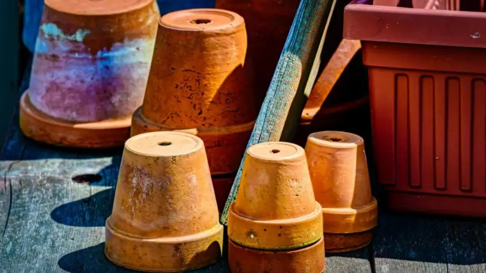 Terracotta pots with drainage holes